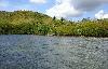 Agricultural Lot for Sale in Culion, Palawan
